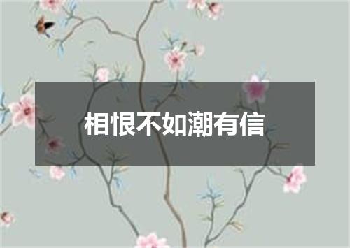 相恨不如潮有信