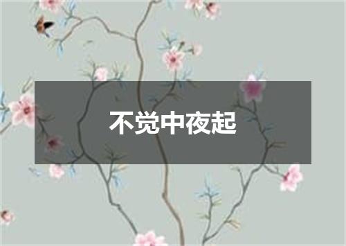 不觉中夜起