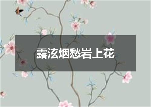 露泫烟愁岩上花