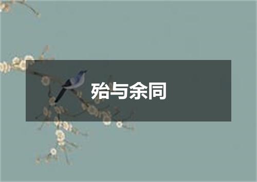 殆与余同