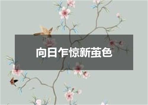 向日乍惊新茧色