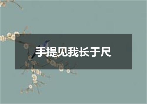 手提见我长于尺