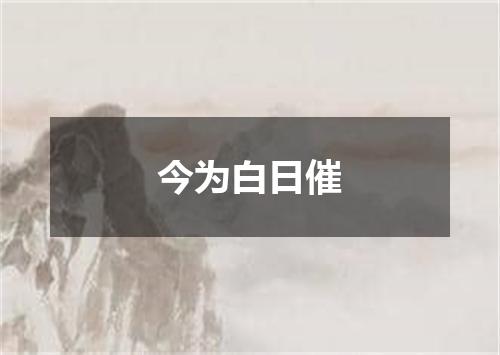 今为白日催