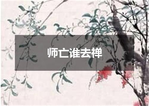 师亡谁去禅