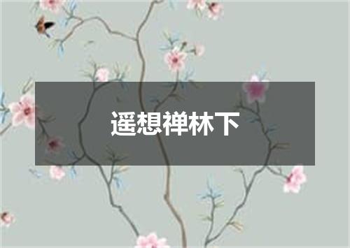 遥想禅林下