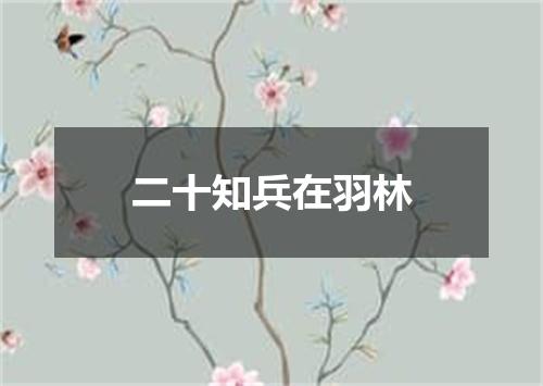 二十知兵在羽林