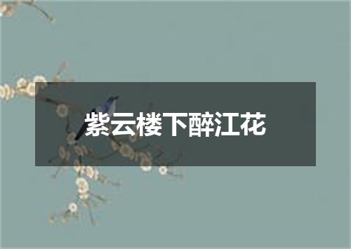 紫云楼下醉江花