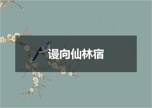 谩向仙林宿