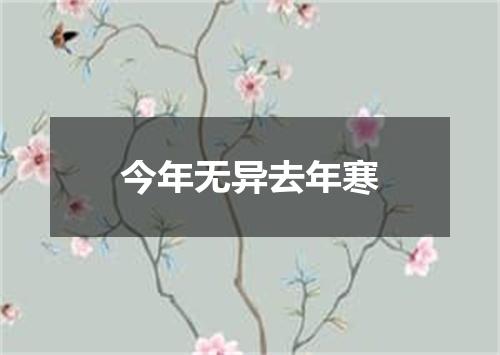 今年无异去年寒