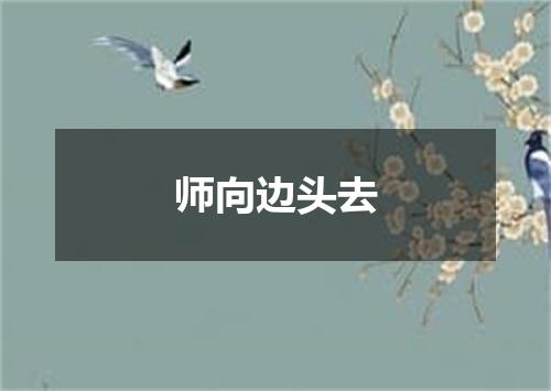 师向边头去