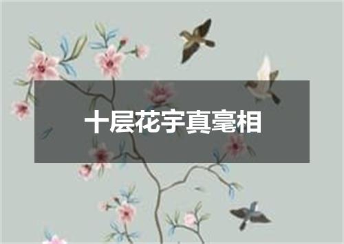 十层花宇真毫相