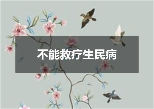 不能救疗生民病