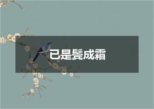 已是鬓成霜