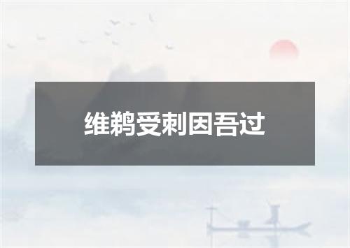 维鹈受刺因吾过