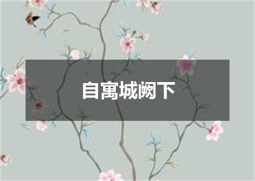 自寓城阙下