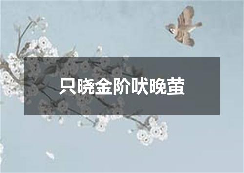 只晓金阶吠晚萤