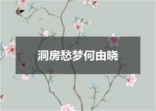 洞房愁梦何由晓