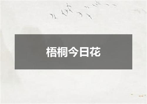 梧桐今日花