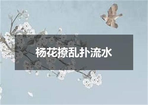 杨花撩乱扑流水