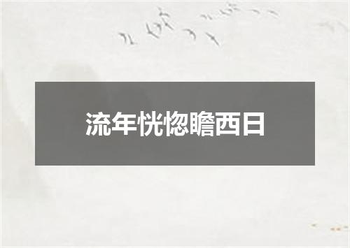 流年恍惚瞻西日