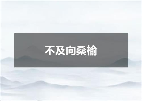 不及向桑榆