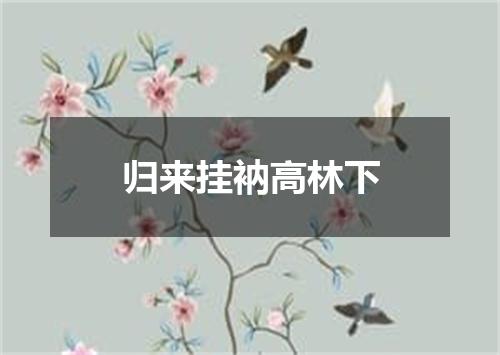 归来挂衲高林下