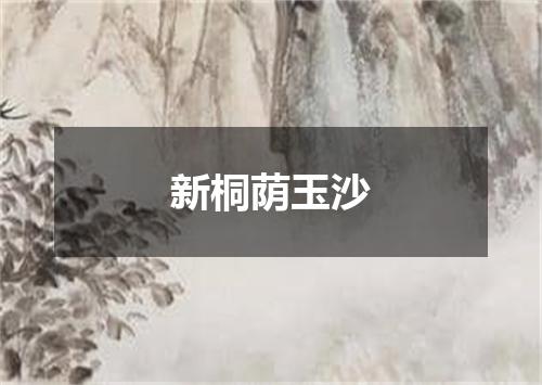 新桐荫玉沙