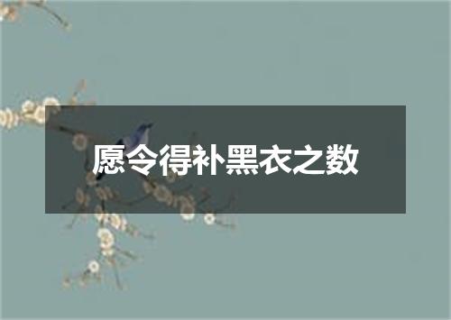 愿令得补黑衣之数