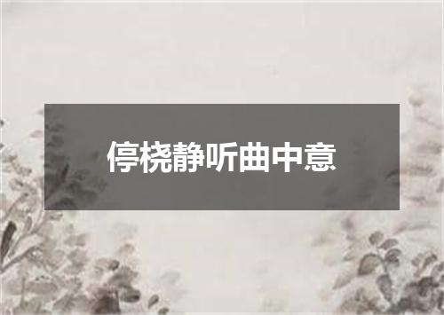 停桡静听曲中意