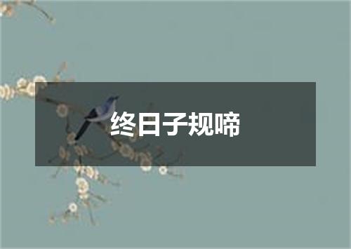 终日子规啼