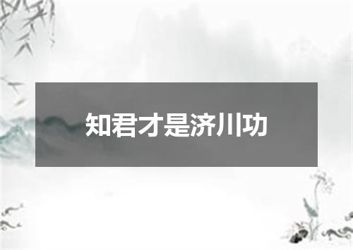 知君才是济川功