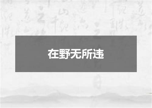 在野无所违