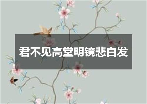 君不见高堂明镜悲白发