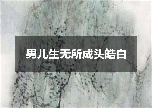 男儿生无所成头皓白