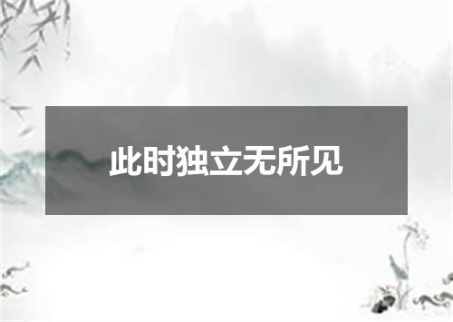 此时独立无所见