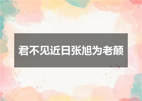 君不见近日张旭为老颠