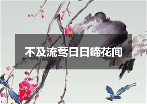 不及流莺日日啼花间