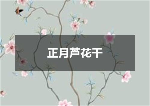 正月芦花干