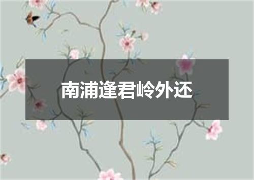 南浦逢君岭外还