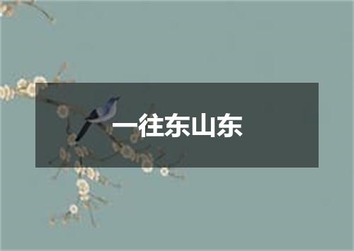 一往东山东