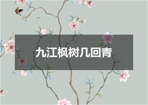 九江枫树几回青