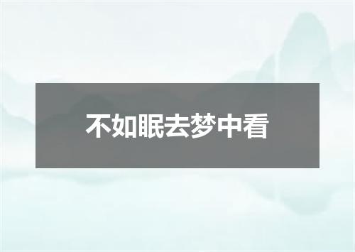 不如眠去梦中看