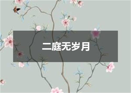 二庭无岁月