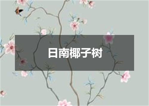 日南椰子树