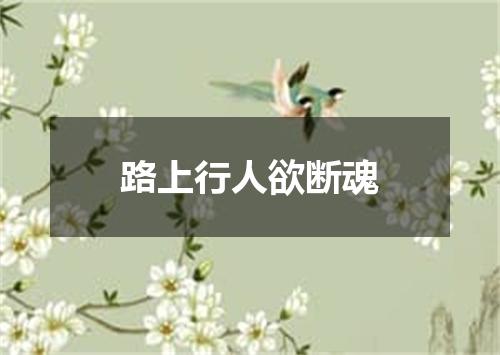 路上行人欲断魂