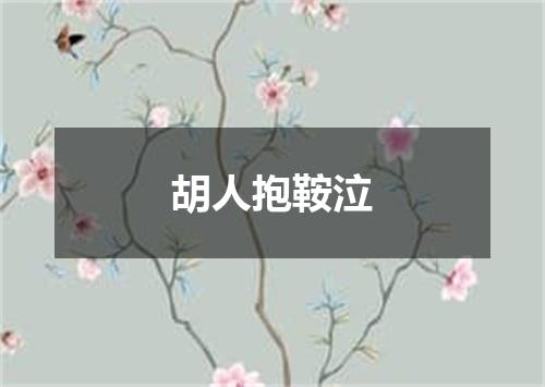 胡人抱鞍泣