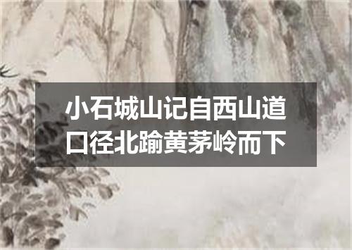 小石城山记自西山道口径北踰黄茅岭而下