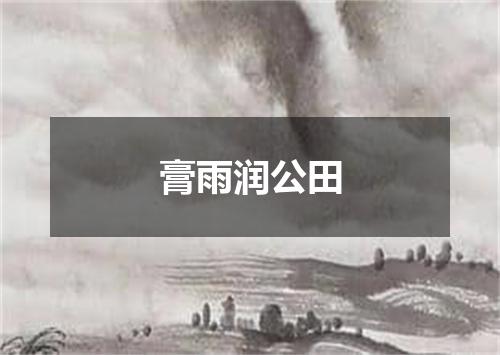 膏雨润公田