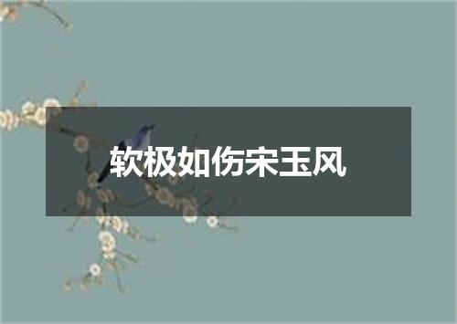 软极如伤宋玉风