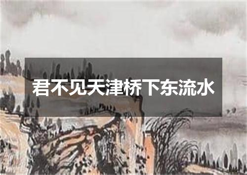 君不见天津桥下东流水